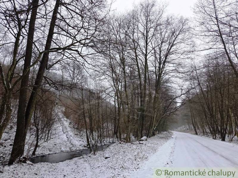 A snowy road and a stream between trees in a winter landscape near Hrušov.