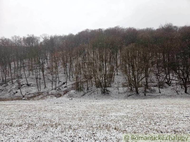 Snow-covered trees and meadow in the Gardens near Hrušov, winter natural scenery.