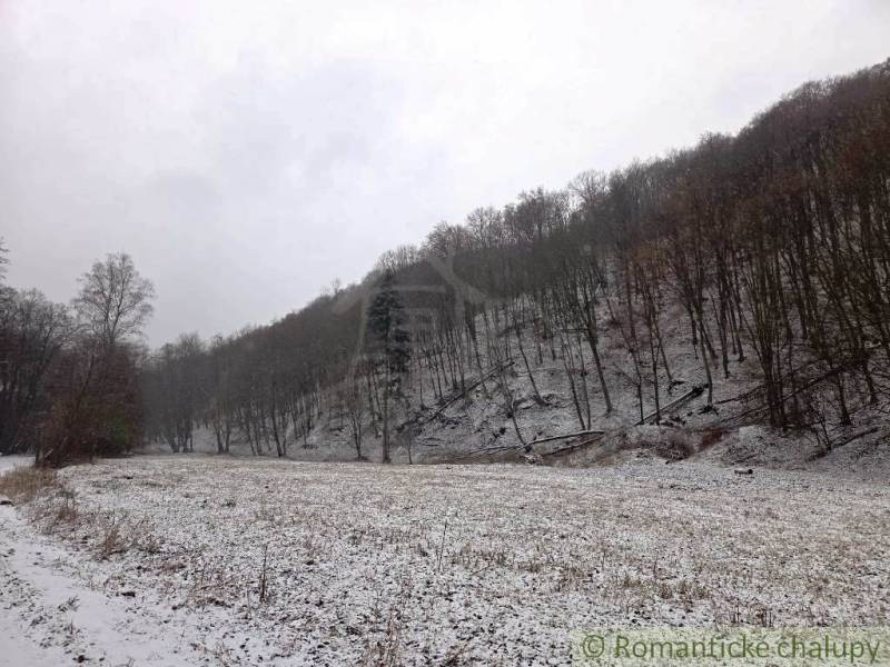 A snowy meadow surrounded by forests in the winter landscape of Hrušov in Záhrady.