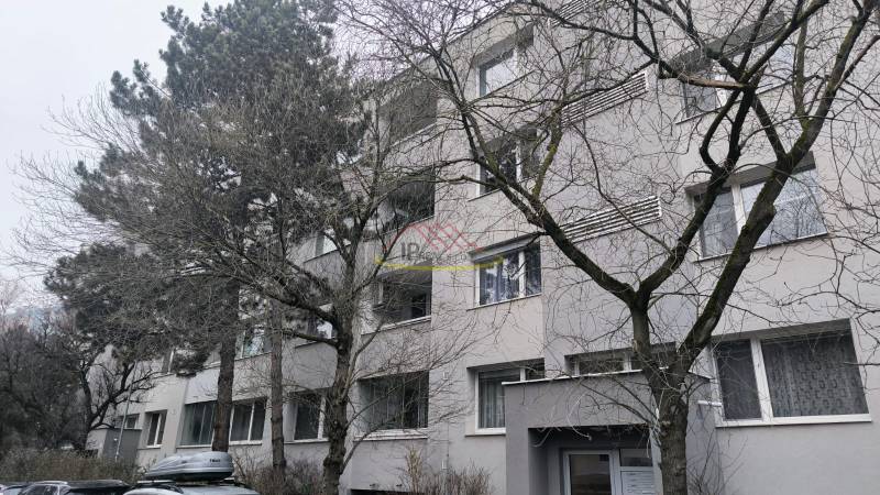 Apartment block with trees on Janotova Street in Bratislava - Karlova Ves.