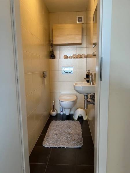Small bathroom in a cabin with a toilet, cozy carpet, and wall shelves.