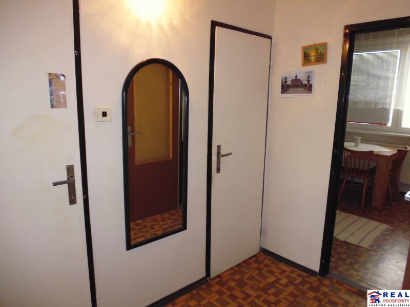 Entrance hallway of a one-room apartment with a wooden decor floor and a mirror.