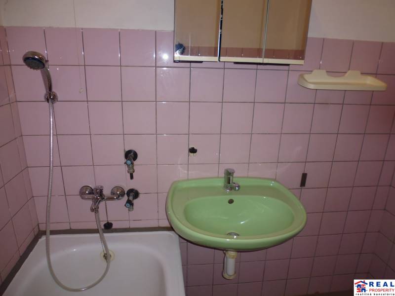 Bathroom of a one-room apartment with pink tiles, a shower, and a green sink.
