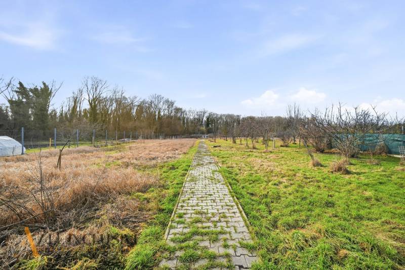 A garden with a path in residential plots in Vrakúňa, surrounded by trees.