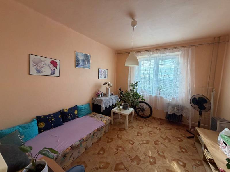 Living room with a sofa, decorations, and wood-patterned flooring in a three-room apartment.
