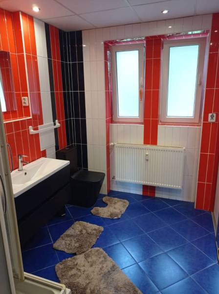 A color-coordinated bathroom with ceramic tiles, black elements, and windows in a 2-room apartment.