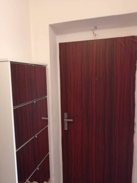 Doors and a shoe cabinet with a wooden decor in a 2-room apartment.
