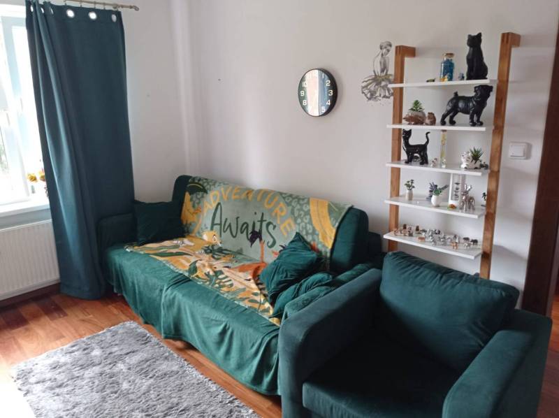 Living room in a two-room apartment with a green sofa, decorative figurines, and a wood-patterned floor.