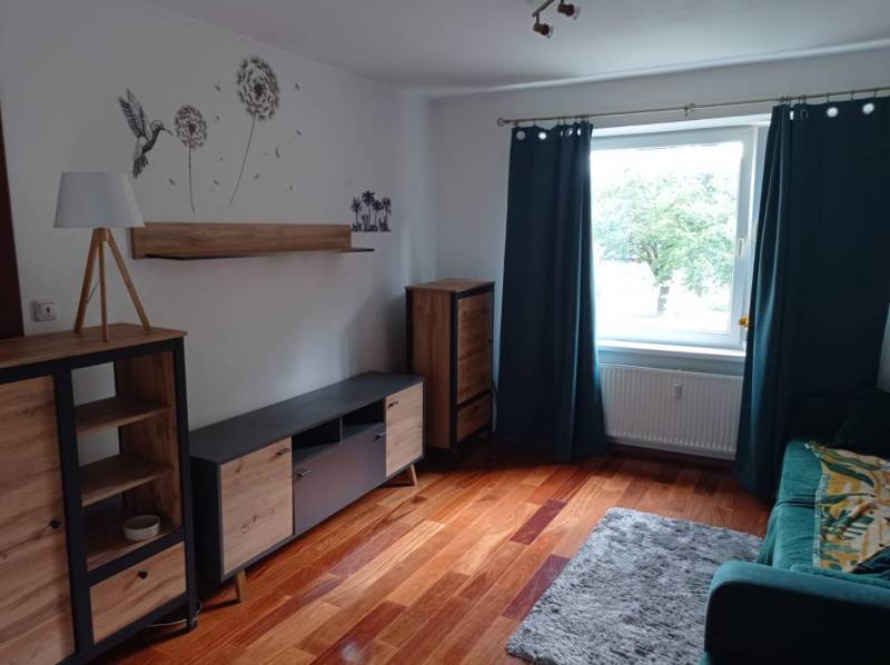 Living room with wood-patterned flooring and furniture in a two-room apartment.
