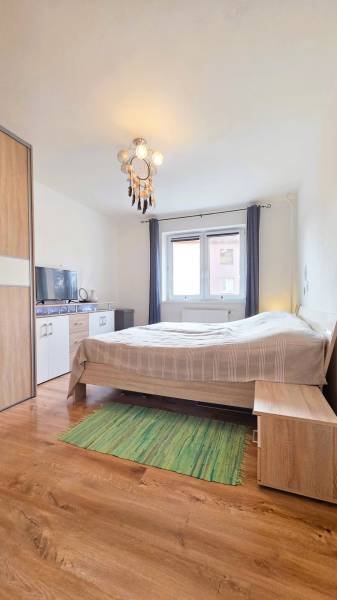 Bedroom with a bed, wood-patterned floor, cabinets, and a window in a 2-room apartment.