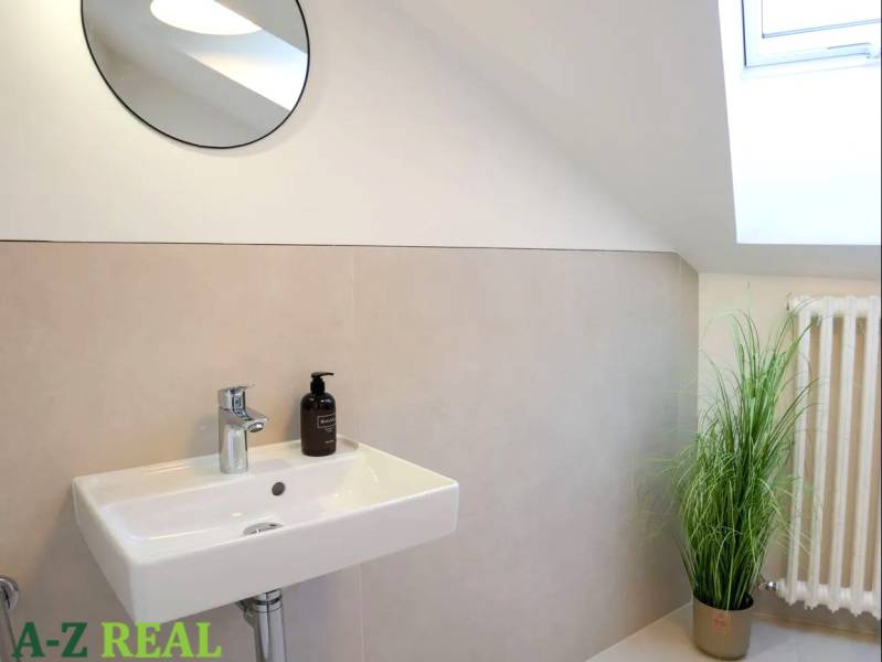 Bathroom in a 3-room apartment with a sink, mirror, and houseplant.