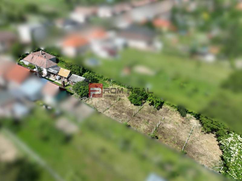 Aerial view of a family house and plot in Dolné Orešany with dense greenery.