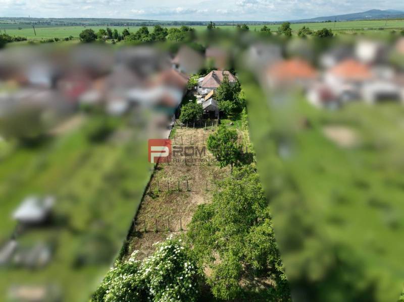 A family house in Dolné Orešany surrounded by a garden with a large plot and the surrounding nature.