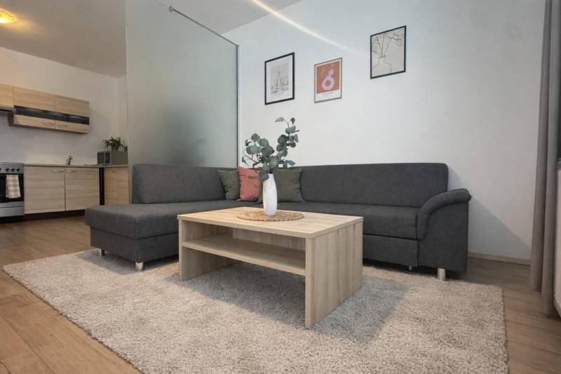 Gray sofa with a wooden coffee table and kitchen in a 3-room apartment.