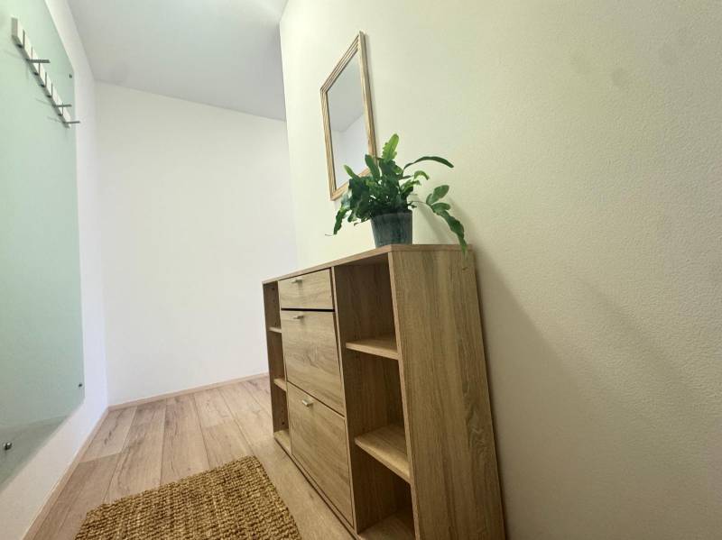 A hallway in a 3-room apartment with a dresser, a mirror, and a plant on a floor with a wooden decor.