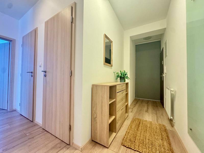 A hallway with a wooden decor floor, a cabinet, and a mirror in a 3-room apartment.