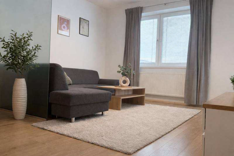 Living room in a 3-room apartment with a sofa, carpet, and wooden decor flooring.