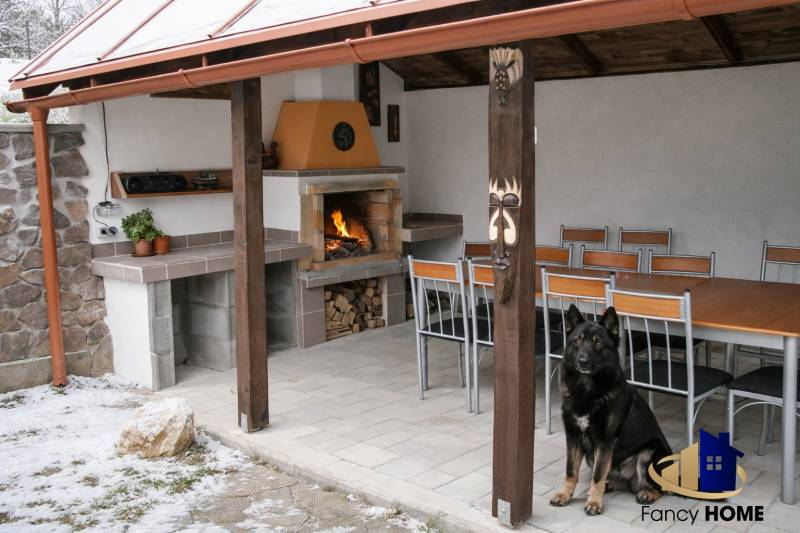 The dog is sitting in the yard of a family house on Mieru Street in Poproč.