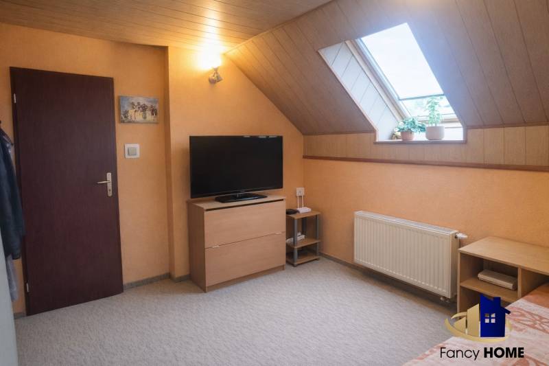 Attic room with carpet, television, and skylight in a family house.