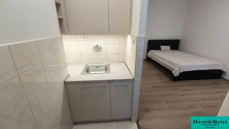 Studio apartment with a kitchenette, wood-patterned flooring, and a bed.