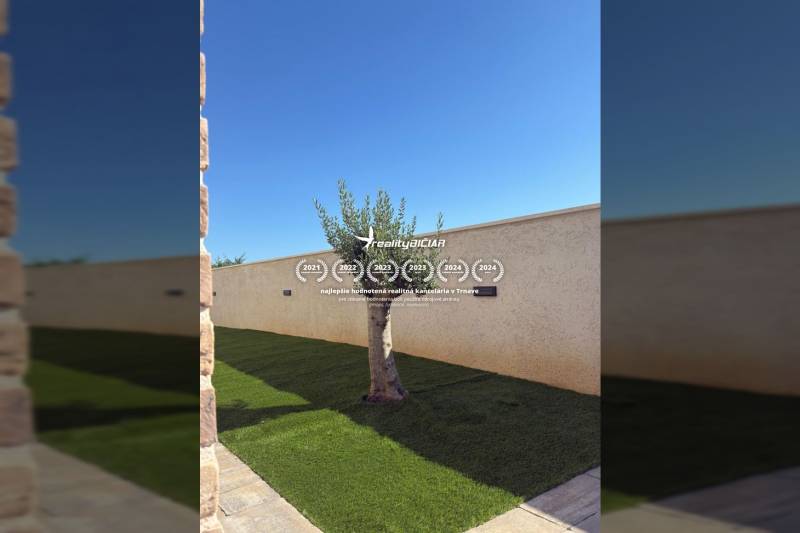 Garden of a family house on Vrsi Street in the town of Vrsi with an olive tree and a lawn.