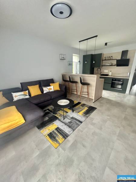 Living room of a two-room apartment with a kitchen island, carpet, and wooden decor flooring.