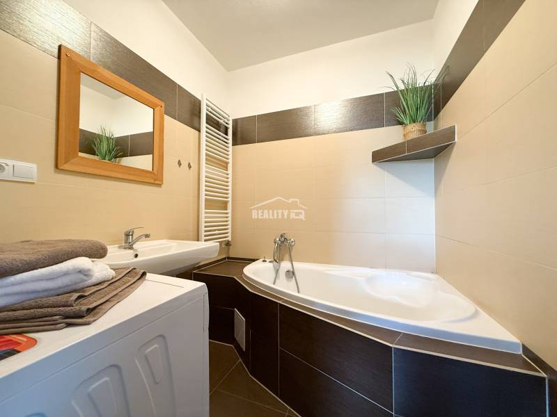 Bathroom in a 2-room apartment with a bathtub and a sink, decorative plant on shelves.