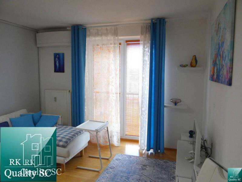 Living area of a studio apartment with blue accessories and wood-patterned flooring.