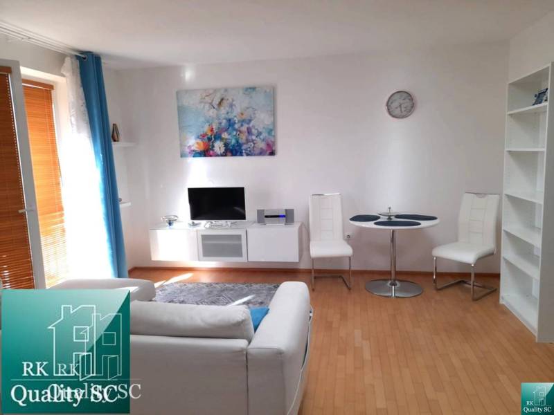 Living room with a TV, couch, and table in a studio apartment, floor with wood decor.