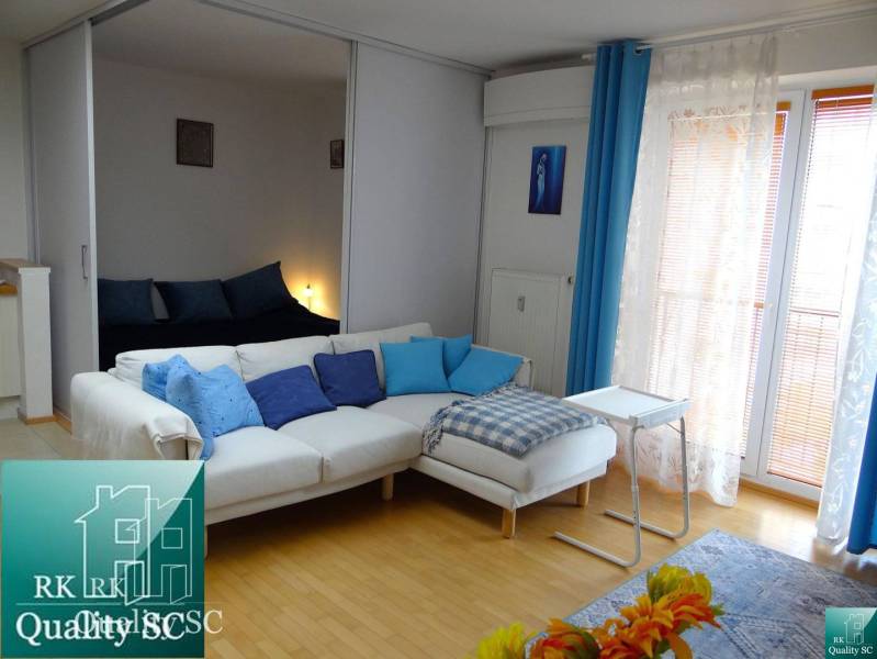 A bright living space in a studio apartment with wood-patterned flooring, blue accessories.