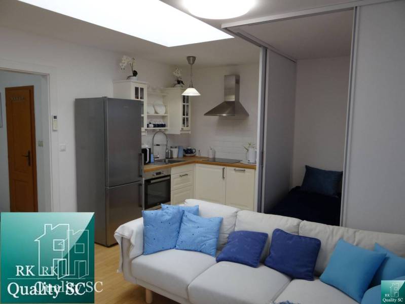 Interior of a 1-room apartment with a kitchen, sofa, and built-in sleeping area.