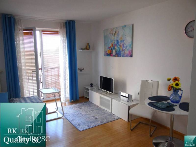 A bright living room with a TV and wood-patterned flooring in a studio apartment.