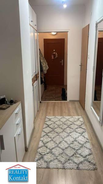 The hallway of a 2-room apartment with carpet and wood-patterned flooring, complemented by a large mirror.