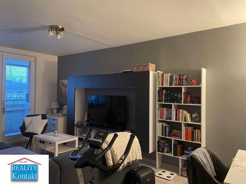 Living room of a two-room apartment with a wooden decor floor and a bookshelf.
