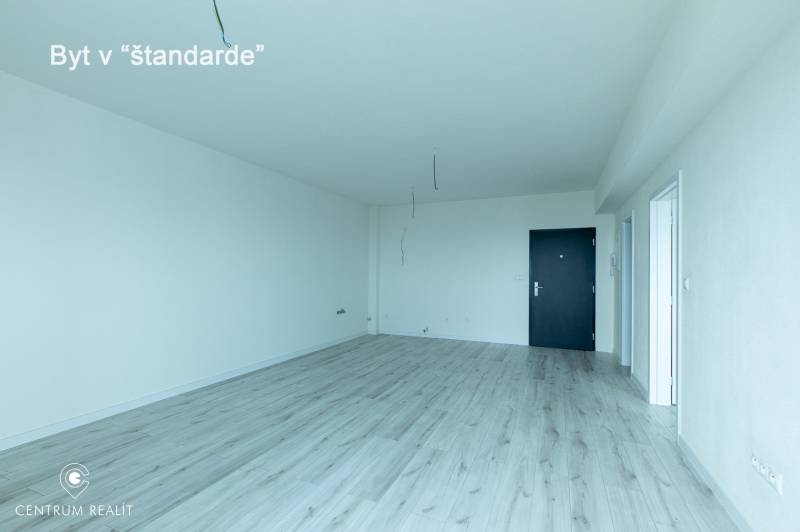 An empty interior of a 2-room apartment with wood-patterned flooring and white walls.
