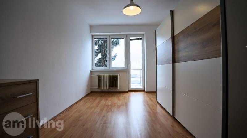 3-room apartment with wood-patterned flooring, a wardrobe, and a large window.