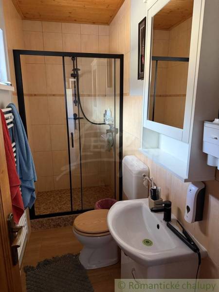 A bathroom in a family house with a wooden decor floor, a shower corner, and a sink.