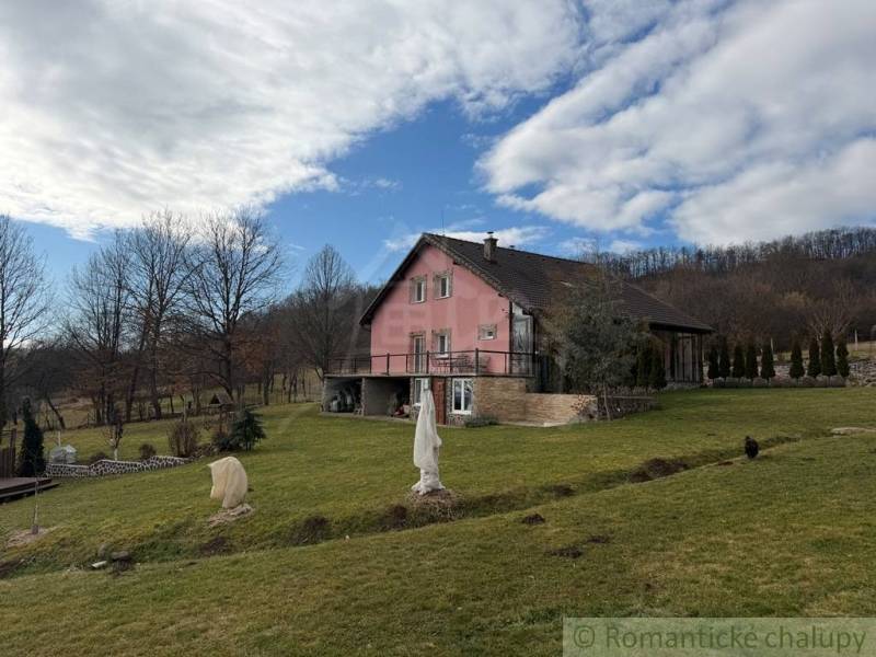 A family house in Lukovištia with a pink facade, lawn, and a statue in the garden.
