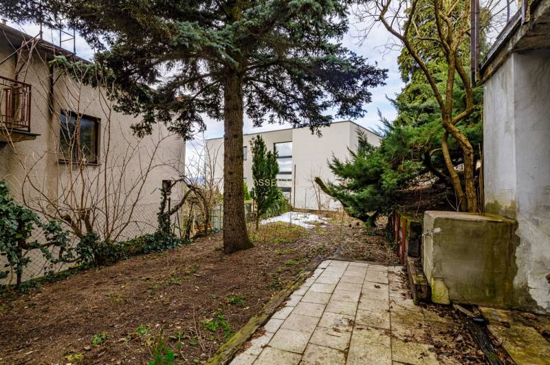 A garden with a path surrounded by greenery and trees near a house on Medzierka in the Old Town.