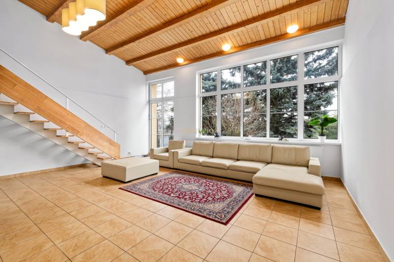 Living room in a family house with a large window, sofa, and wooden ceiling.