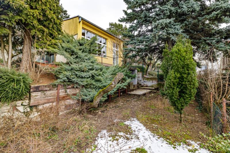 A family house on Medzierka in Bratislava - Old Town with windows surrounded by greenery and trees.