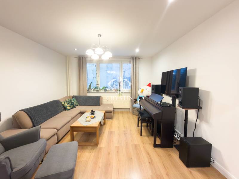 Living room in a 4-room apartment with a sofa and wooden decor flooring.