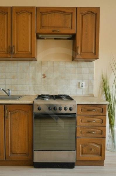 A kitchen unit with a wood decor and a combined stove in a 2-room apartment.