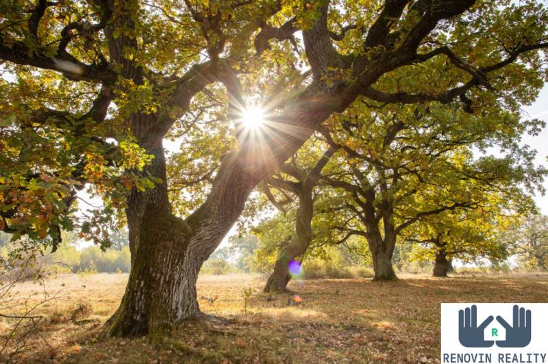 Novostava rodinný dom 