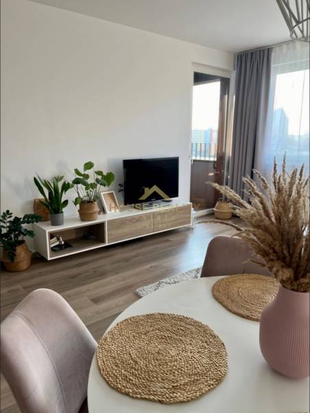 Living room with a television, plants, and wood-patterned flooring in a two-room apartment.