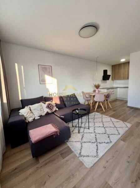 Interior of a 2-room apartment with a sofa, carpet, and a kitchenette with a dining table.