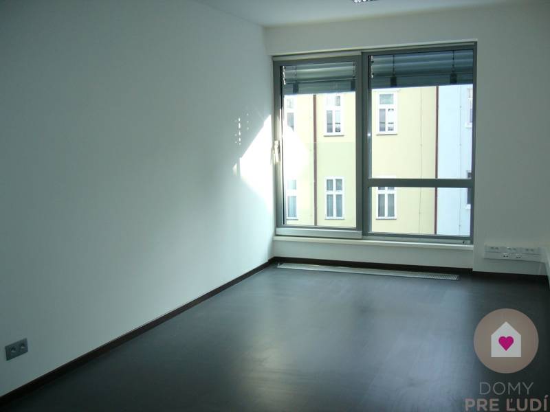 Offices with large windows and wood-patterned flooring.