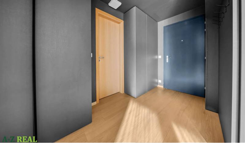 Entrance hall of a 2-room apartment with wood-patterned flooring and gray walls.