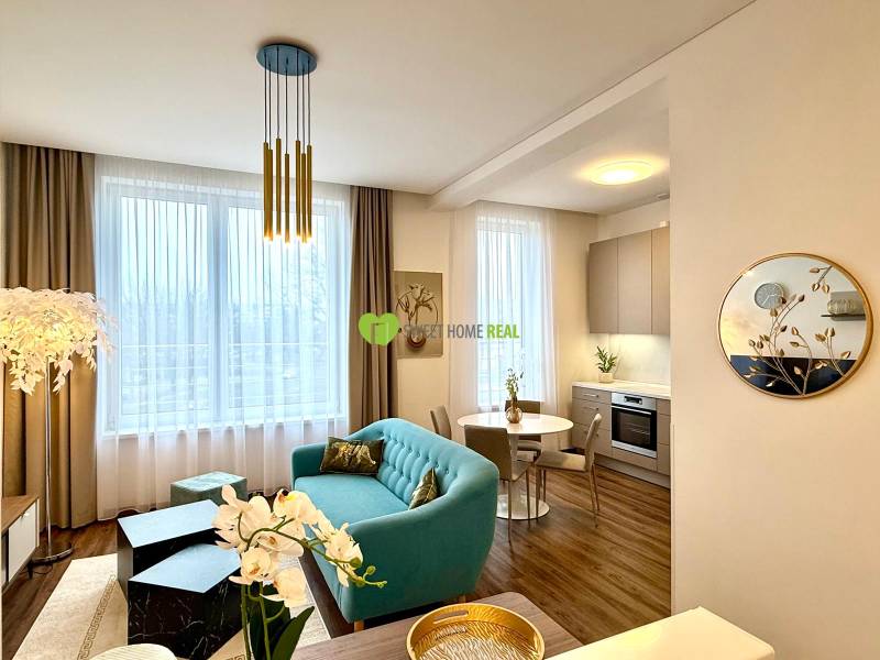 Living room in a two-room apartment, seating area, kitchenette, and floor with wood decor.