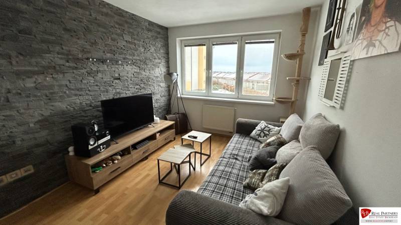 Living room in a two-room apartment with a stone wall, wooden decor flooring, and a sofa.